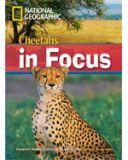 Footprint Reading Library 2200: Cheetahs In Focus (with Multi-ROM)