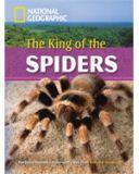 Footprint Reading Library 2600: King of the Spiders (with Multi-ROM)