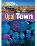 Footprint Reading Library 1900: Opal Town (with Multi-ROM)