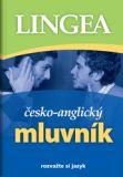 Mluvník česko-anglický, 3. vydání