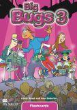 Big Bugs 3, Flashcards