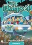 Big Bugs 4, Flashcards